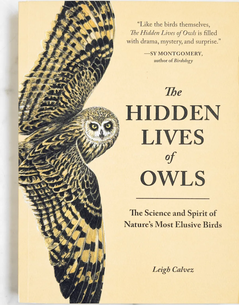 book jacket for The Hidden Lives of Owls.